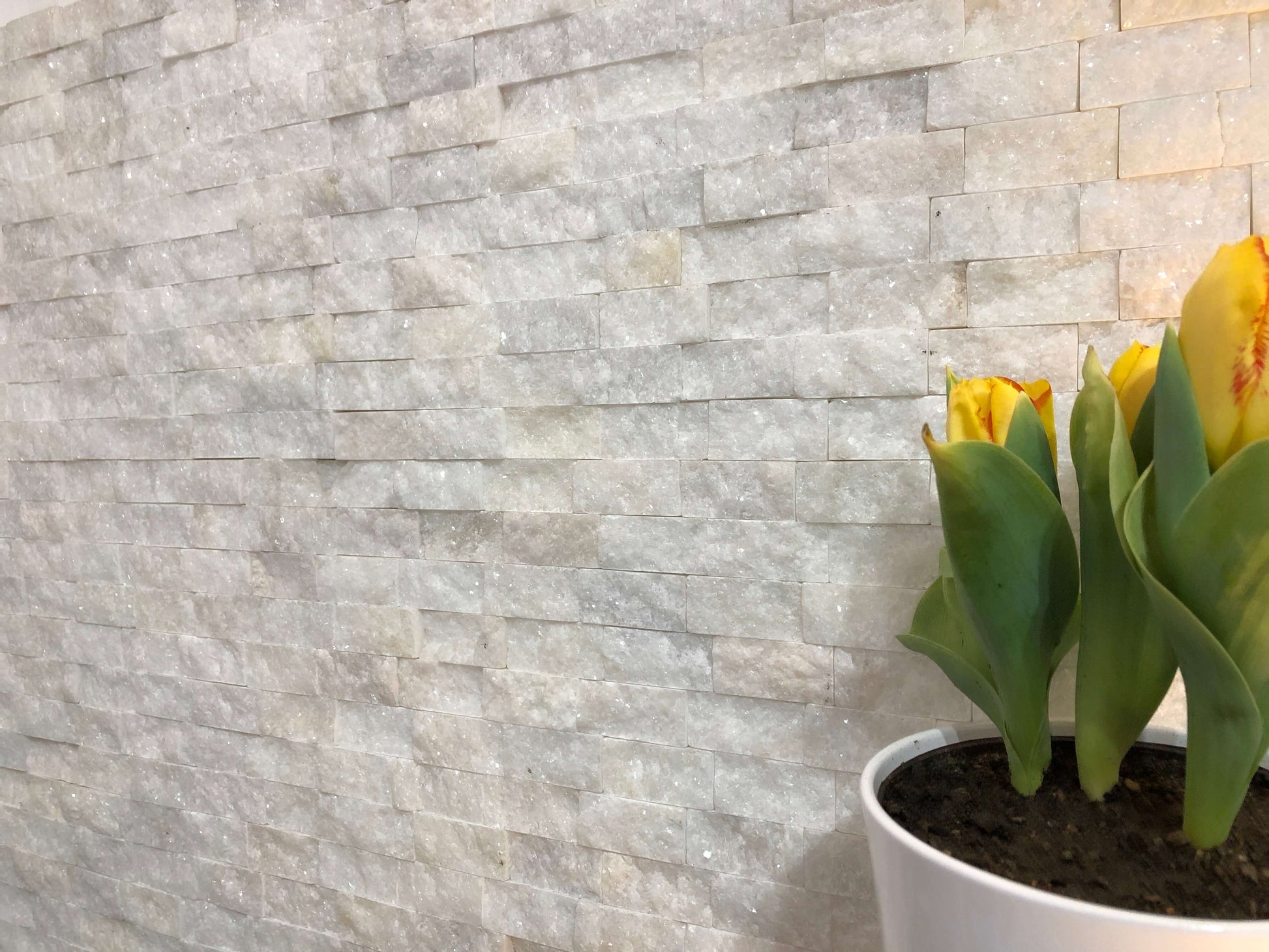 Extra White Marmorfliese an der Wand